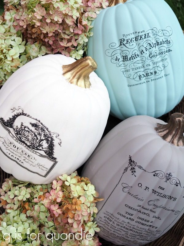 Rustic Pumpkins Painted with Dixie Belle Paint a