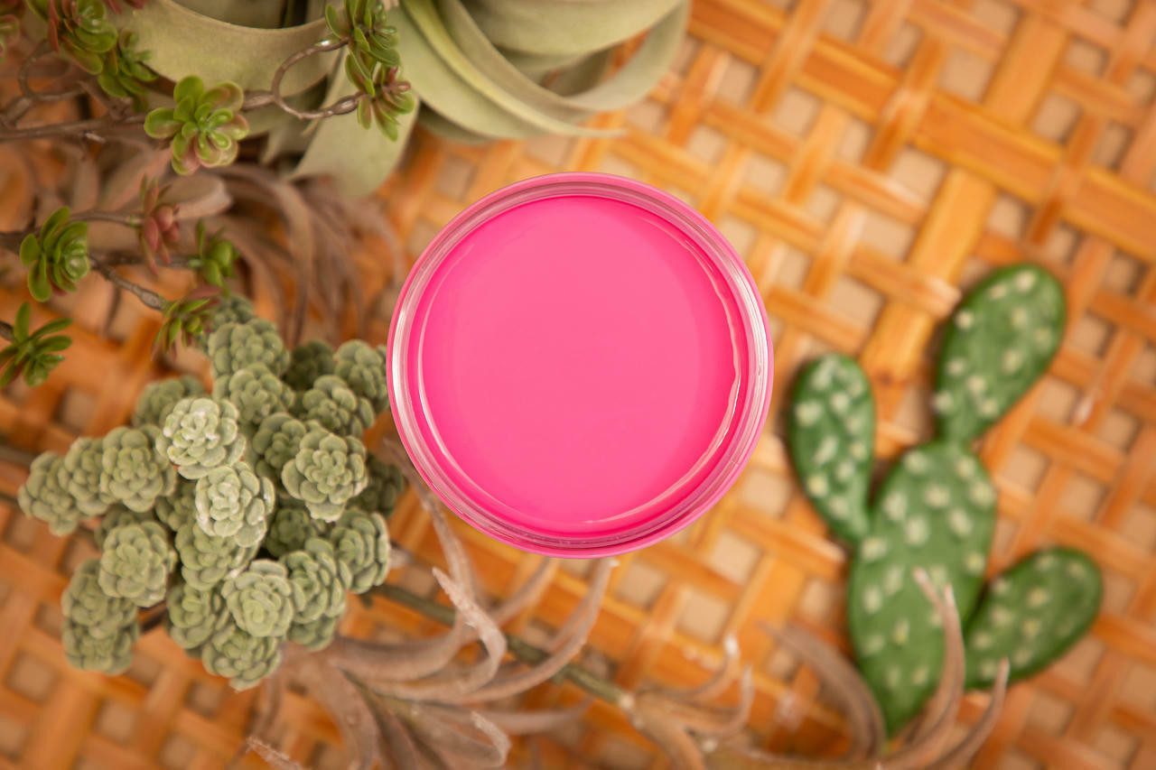 Dixie Belle Silk Mineral Paint in Prickly Pear