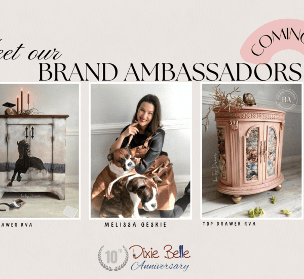 Brand Ambassador The Top Drawer and Dixie Belle Paint Blog Image