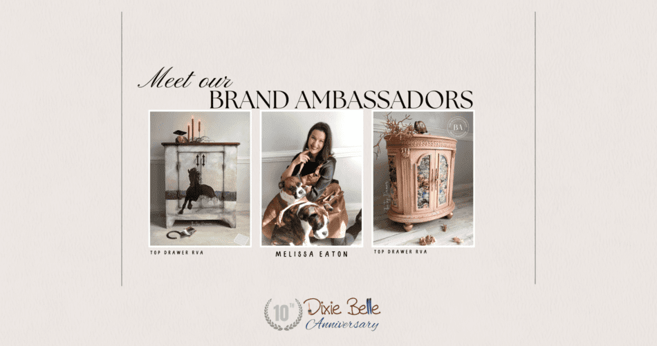 Brand Ambassador The Top Drawer and Dixie Belle Paint Blog Image