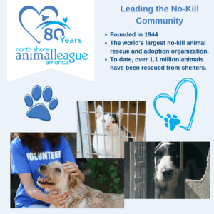 The North Shore Animal League America logo on the upper right corner, with information about the company printed on the upper right corner. A blue paw print is below the logo and a turquoise heart with a paw print is below the information. 3 pictures are at the bottom of the page, one with a brown furry dog being petted by a person wearing a blue shirt that has VOLUNTEER printed across the chest in white. The middle picture is of a black and white cat sitting inside a kennel. The third picture is of a black and whit dog looking through some bars.