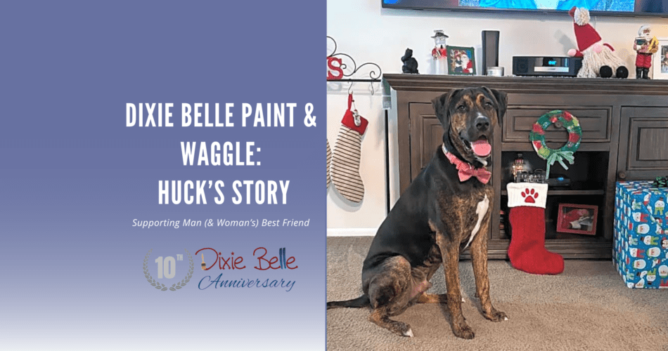 Dixie Belle Paint Featured Blog Image