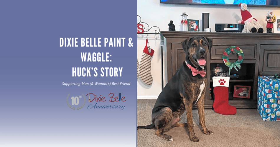 Dixie Belle Paint Featured Blog Image