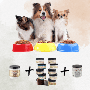 2 dogs and 1 cat sitting next to each other behind 3 food dishes - 1 red, 1 yellow and 1 blue; below the food dishes are photos of Bonding BOSS, Chalk Mineral paint, a Paint brush and Gator Hide.