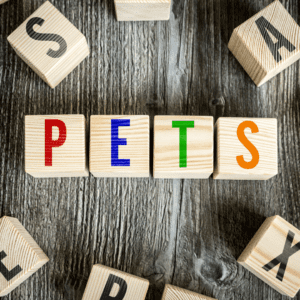 Wooden blocks with letters printed on them sit on a wooden table. The blocks spell out PETS in different colors, and there are various other blocks scattered around the word.