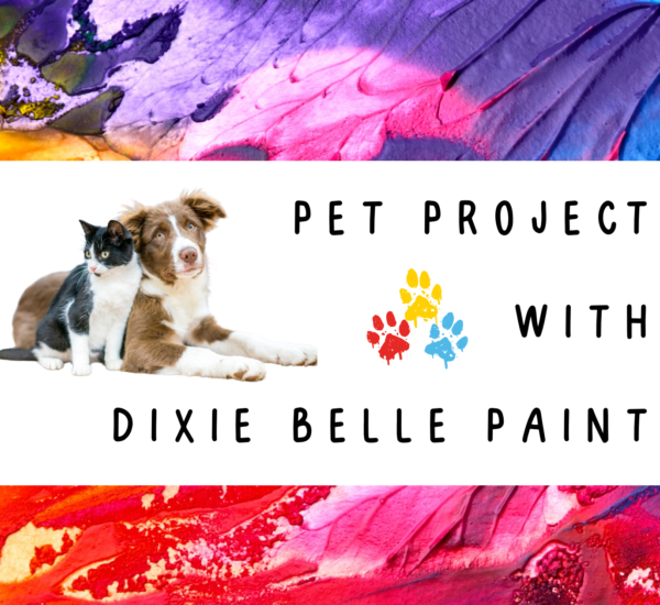 A multi-colored painted background with a white box on top of it. Inside the white box reads PET PROJECT WITH DIXIE BELLE PAINT. 3 painted paw prints, red, yellow and blue are next to the print, and a black & white cat and brown & white dog sit on the floor to the left of the printed words.