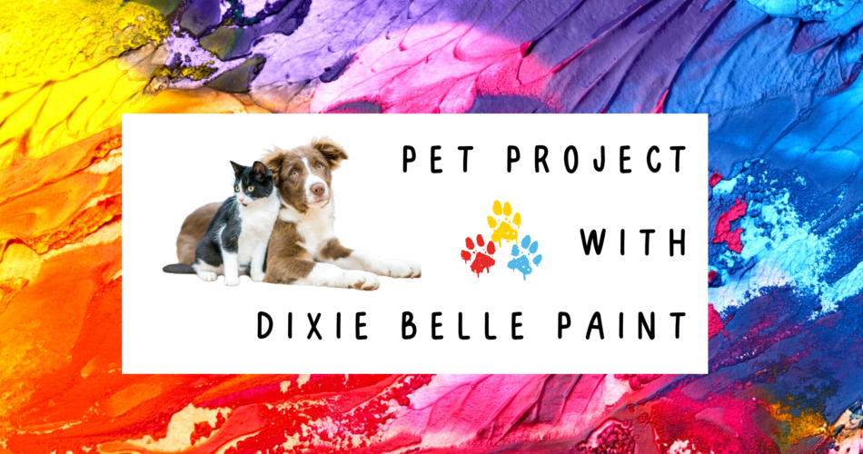 A multi-colored painted background with a white box on top of it. Inside the white box reads PET PROJECT WITH DIXIE BELLE PAINT. 3 painted paw prints, red, yellow and blue are next to the print, and a black & white cat and brown & white dog sit on the floor to the left of the printed words.