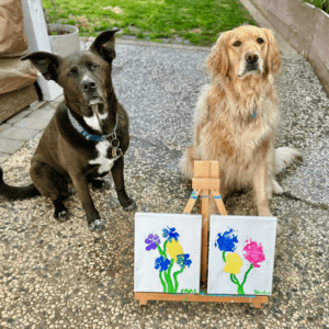 A photo of two dogs sitting on a cement sidewalk with two painted pictures sitting on an easel in front of them. The painted pictures are blue, yellow, purple and pink flowers that were painted using the dogs' paw prints.