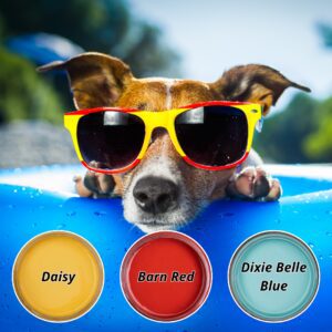 A photo of a brown and white dog sitting in a blue pool, wearing yellow and red sun glasses. Below the dog are 3 open jars of paint - yellow, red and blue. Daisy is printed in the yellow paint, Barn Red is printed in the red paint, Dixie Belle Blue is printed in the blue paint.