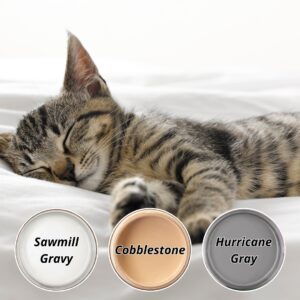 A photo of a brown, gray and white kitten sleeping on a white bed. Open jars of paint in Sawmill Gravy, Cobblestone, and Hurricane Gray are below the kitten.