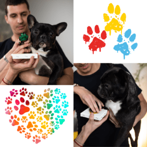 A photo collage consisting of a black and white dog being held by a male, the dog has green paint on it's paw in the top photo and has it's paw being pressed onto a white board on the lower photo. Also on the collage are paw prints painted in red, yellow and blue, and a paw painted heart in various red, yellow and blue colors.