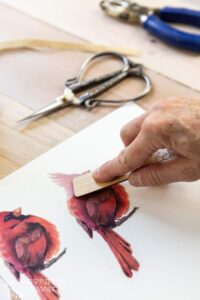 A hand burnishing the Caroling Cardinals transfer to a wooden table with a pair of scissors sitting on the table above the transfer.